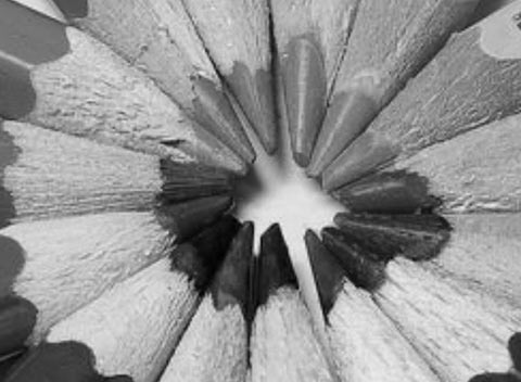 网页免费发手机号